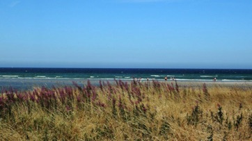 VED STRANDEN - LYSTRUP STRAND, strandeng.jpg VED STRANDEN - LYSTRUP STRAND, strandeng.jpg
